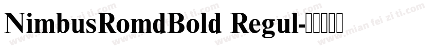 NimbusRomdBold Regul字体转换